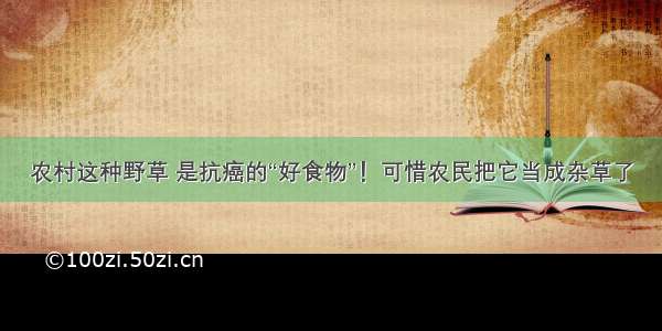 农村这种野草 是抗癌的“好食物”！可惜农民把它当成杂草了