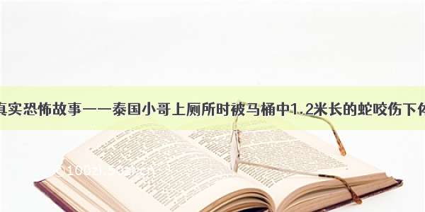 真实恐怖故事——泰国小哥上厕所时被马桶中1.2米长的蛇咬伤下体