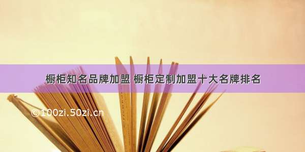 橱柜知名品牌加盟 橱柜定制加盟十大名牌排名