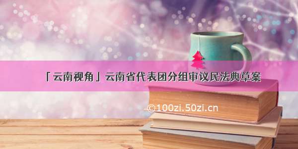 「云南视角」云南省代表团分组审议民法典草案