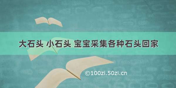 大石头 小石头 宝宝采集各种石头回家