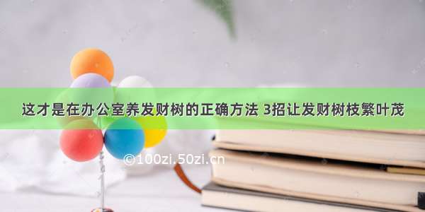 这才是在办公室养发财树的正确方法 3招让发财树枝繁叶茂