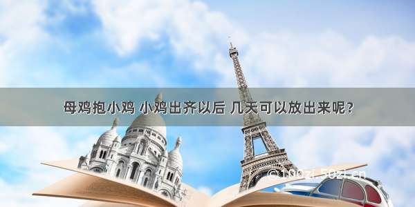 母鸡抱小鸡 小鸡出齐以后 几天可以放出来呢？