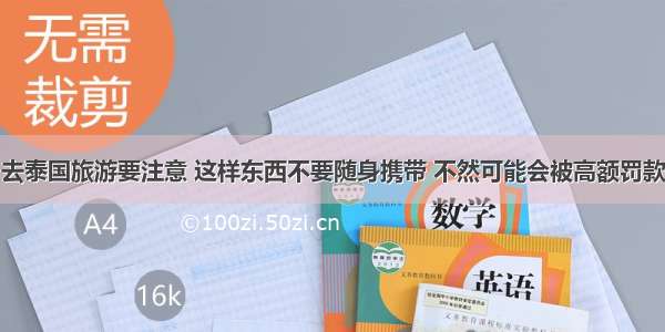 去泰国旅游要注意 这样东西不要随身携带 不然可能会被高额罚款