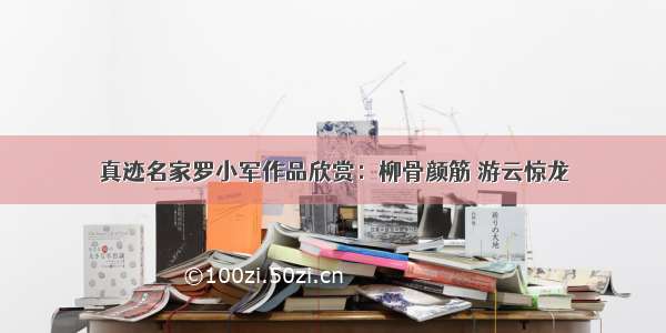 真迹名家罗小军作品欣赏：柳骨颜筋 游云惊龙