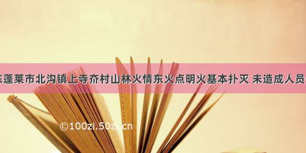 山东蓬莱市北沟镇上寺夼村山林火情东火点明火基本扑灭 未造成人员伤亡