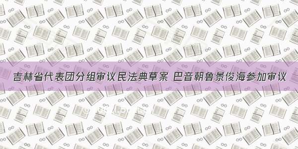 吉林省代表团分组审议民法典草案 巴音朝鲁景俊海参加审议