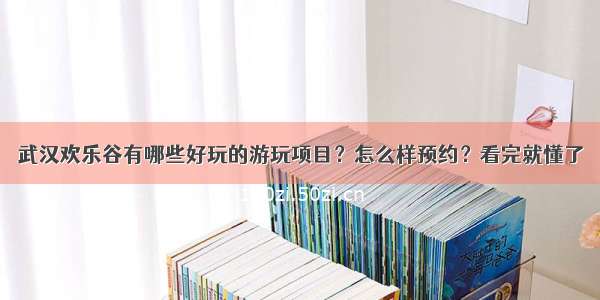 武汉欢乐谷有哪些好玩的游玩项目？怎么样预约？看完就懂了