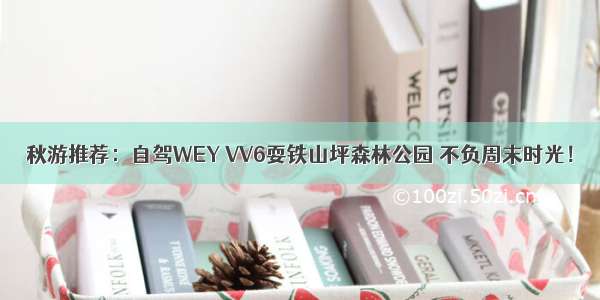 秋游推荐：自驾WEY VV6耍铁山坪森林公园 不负周末时光！