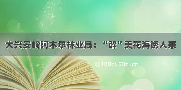 大兴安岭阿木尔林业局：“醉”美花海诱人来