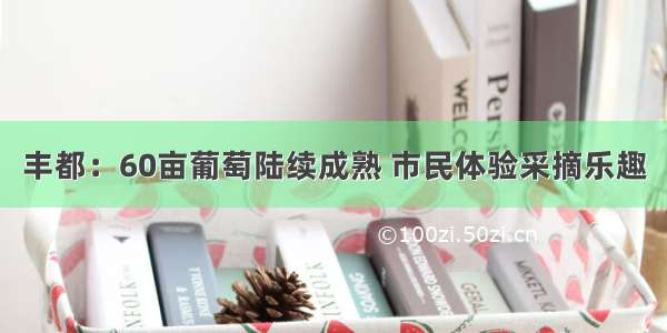 丰都：60亩葡萄陆续成熟 市民体验采摘乐趣