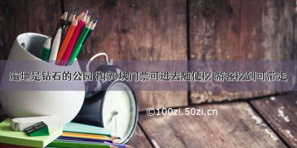 遍地是钻石的公园 掏50块门票可进去随便挖 游客挖到可带走