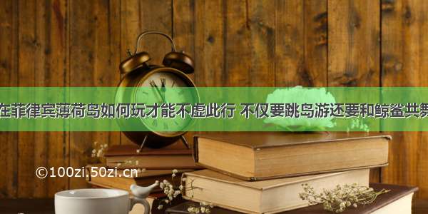 在菲律宾薄荷岛如何玩才能不虚此行 不仅要跳岛游还要和鲸鲨共舞