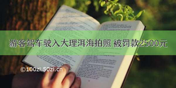 游客驾车驶入大理洱海拍照 被罚款2500元