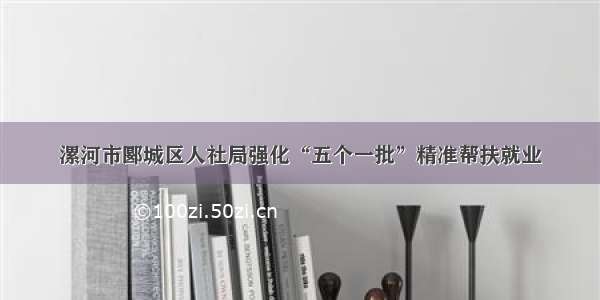 漯河市郾城区人社局强化“五个一批”精准帮扶就业