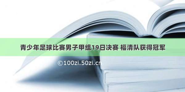 青少年足球比赛男子甲组19日决赛 福清队获得冠军