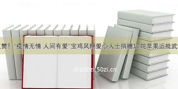 点赞！“疫情无情 人间有爱”宝鸡凤翔爱心人士捐赠10吨苹果运抵武汉