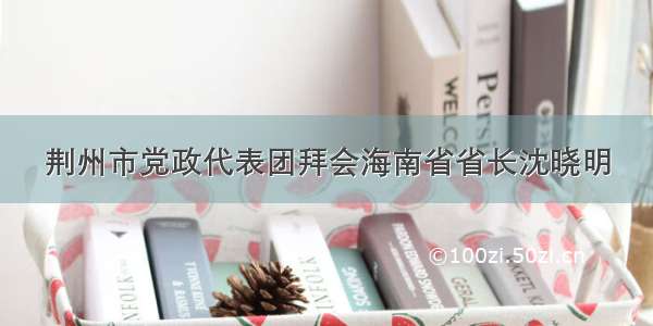 荆州市党政代表团拜会海南省省长沈晓明