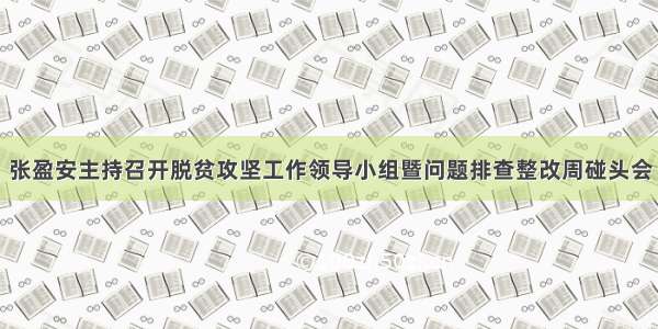 张盈安主持召开脱贫攻坚工作领导小组暨问题排查整改周碰头会