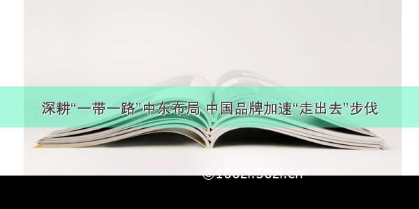 深耕“一带一路”中东布局 中国品牌加速“走出去”步伐