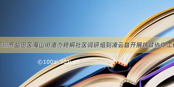 深圳市盐田区海山街道办梧桐社区调研组到凌云县开展扶贫协作工作