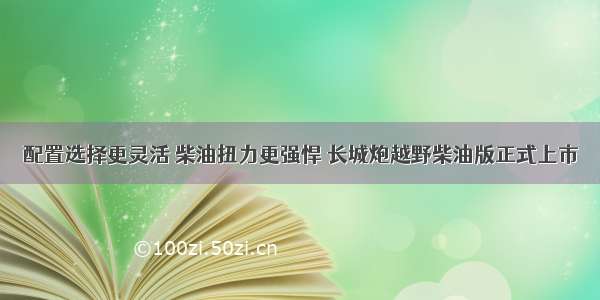 配置选择更灵活 柴油扭力更强悍 长城炮越野柴油版正式上市