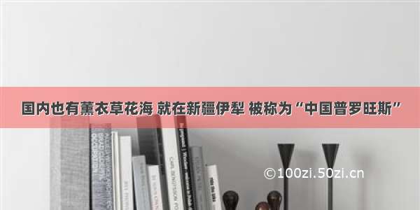 国内也有薰衣草花海 就在新疆伊犁 被称为“中国普罗旺斯”