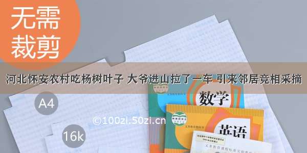 河北怀安农村吃杨树叶子 大爷进山拉了一车 引来邻居竞相采摘