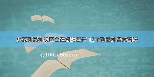 小麦新品种观摩会在海阳召开 12个新品种备受青睐