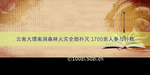 云南大理南涧森林火灾全部扑灭 1700余人参与扑救