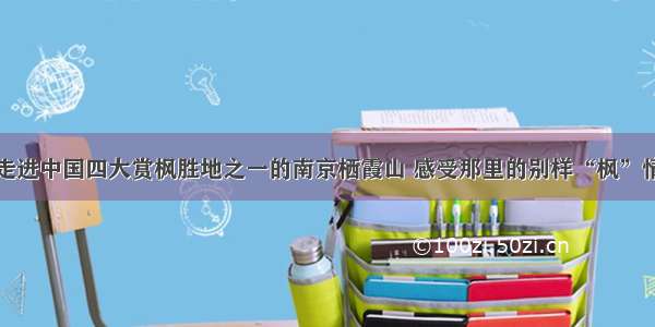 走进中国四大赏枫胜地之一的南京栖霞山 感受那里的别样“枫”情