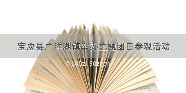 宝应县广洋湖镇举办主题团日参观活动