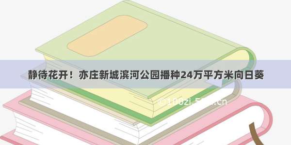 静待花开！亦庄新城滨河公园播种24万平方米向日葵