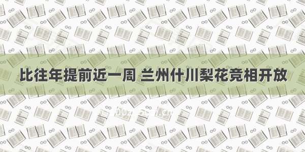 比往年提前近一周 兰州什川梨花竞相开放