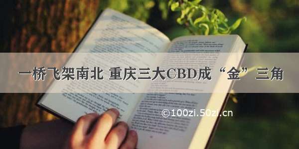 一桥飞架南北 重庆三大CBD成“金”三角