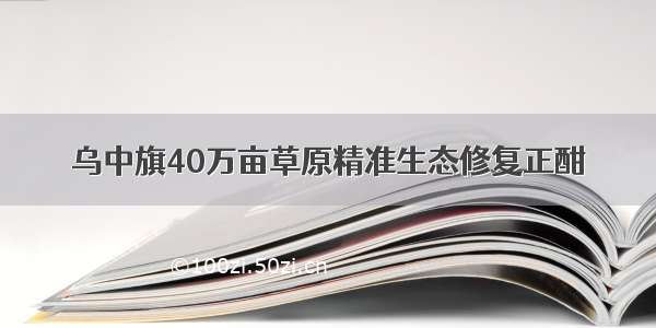 乌中旗40万亩草原精准生态修复正酣