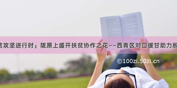 「脱贫攻坚进行时」陇原上盛开扶贫协作之花——西青区对口援甘助力脱贫攻坚