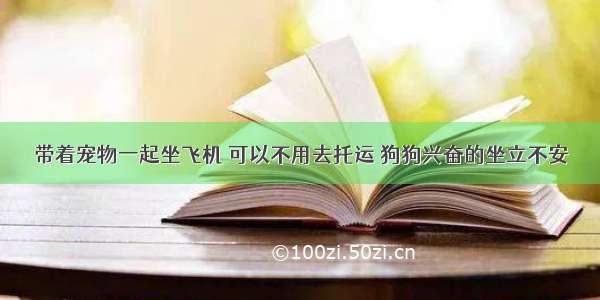 带着宠物一起坐飞机 可以不用去托运 狗狗兴奋的坐立不安