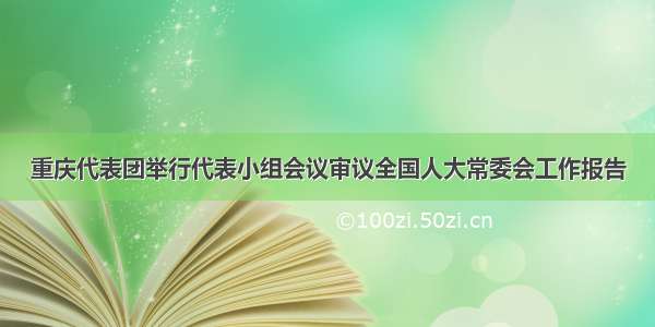 重庆代表团举行代表小组会议审议全国人大常委会工作报告