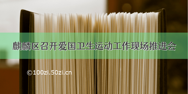 麒麟区召开爱国卫生运动工作现场推进会