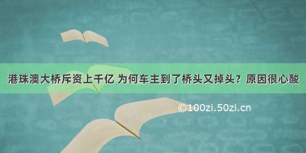 港珠澳大桥斥资上千亿 为何车主到了桥头又掉头？原因很心酸