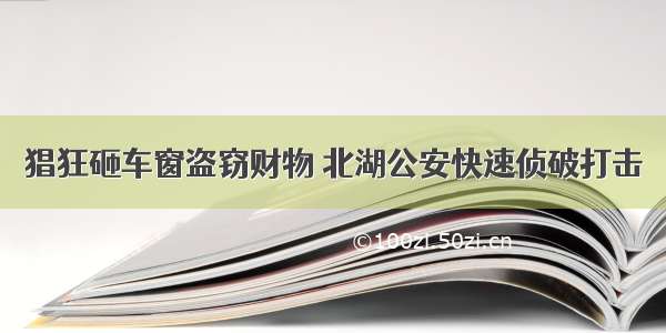 猖狂砸车窗盗窃财物 北湖公安快速侦破打击