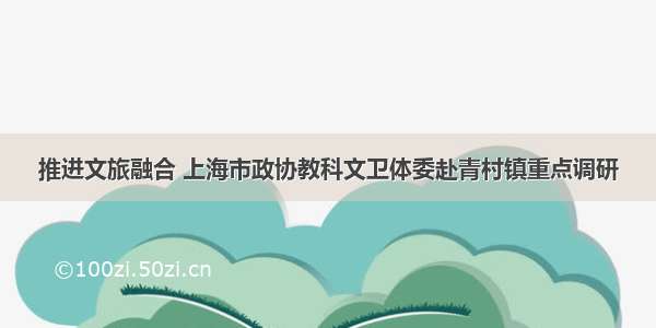 推进文旅融合 上海市政协教科文卫体委赴青村镇重点调研