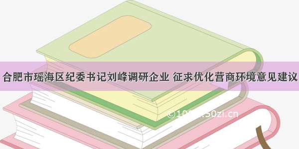 合肥市瑶海区纪委书记刘峰调研企业 征求优化营商环境意见建议