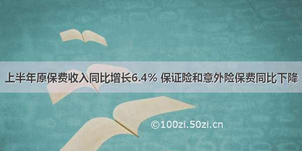 上半年原保费收入同比增长6.4% 保证险和意外险保费同比下降