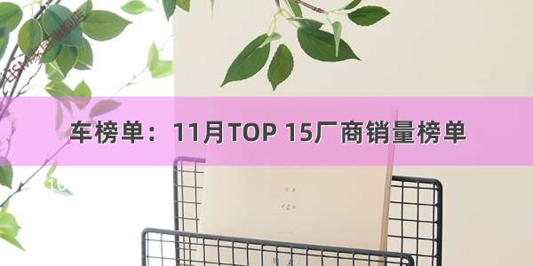 车榜单：11月TOP 15厂商销量榜单