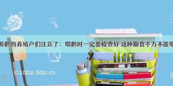 养鹅的养殖户们注意了：喂鹅时一定要检查好 这种粮食千万不能喂