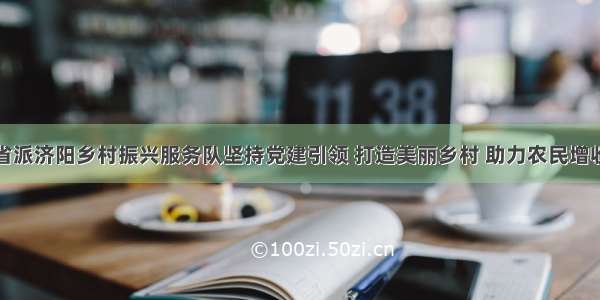 省派济阳乡村振兴服务队坚持党建引领 打造美丽乡村 助力农民增收