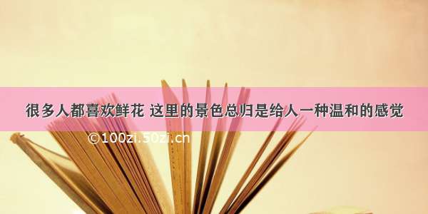 很多人都喜欢鲜花 这里的景色总归是给人一种温和的感觉