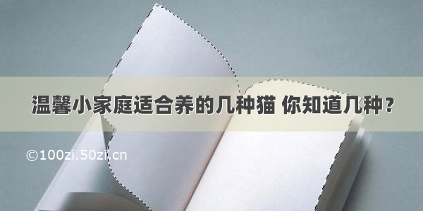 温馨小家庭适合养的几种猫 你知道几种？